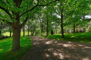 Oak treed driveway - Country homes for sale and luxury real estate including horse farms and property in the Caledon and King City areas near Toronto