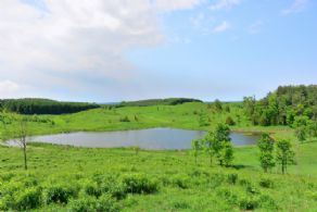 The Centre Pond - Country homes for sale and luxury real estate including horse farms and property in the Caledon and King City areas near Toronto