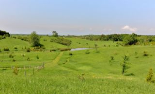 Rolling Hills with Trails - Country homes for sale and luxury real estate including horse farms and property in the Caledon and King City areas near Toronto