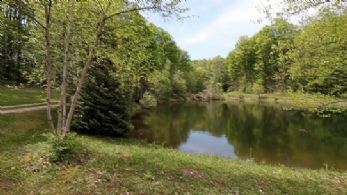 Fish Hatchery Pond - Country homes for sale and luxury real estate including horse farms and property in the Caledon and King City areas near Toronto