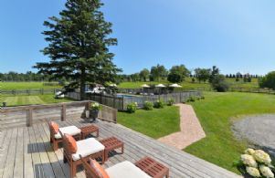 Back Yard and Pool - Country homes for sale and luxury real estate including horse farms and property in the Caledon and King City areas near Toronto