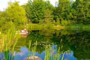 Main Pond - Country homes for sale and luxury real estate including horse farms and property in the Caledon and King City areas near Toronto