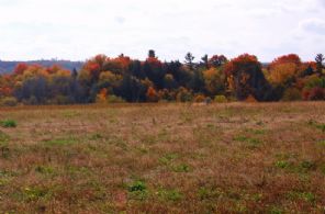Kettleby Lot, 265 Kettleby Road, King, Ontario, Canada - Country homes for sale and luxury real estate including horse farms and property in the Caledon and King City areas near Toronto