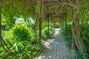 Vine Covered Trellis to Parking Area - Country homes for sale and luxury real estate including horse farms and property in the Caledon and King City areas near Toronto