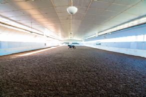 Indoor Arena with Fibre Footing - Country homes for sale and luxury real estate including horse farms and property in the Caledon and King City areas near Toronto