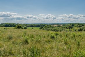 Views - Country homes for sale and luxury real estate including horse farms and property in the Caledon and King City areas near Toronto