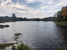 334 Acre Retreat Property, Madoc, Ontario - Country homes for sale and luxury real estate including horse farms and property in the Caledon and King City areas near Toronto