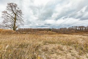 7 Acre Building Lot, Erin, Ontario - Country homes for sale and luxury real estate including horse farms and property in the Caledon and King City areas near Toronto