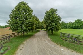 Tree-lined Drive - Country homes for sale and luxury real estate including horse farms and property in the Caledon and King City areas near Toronto