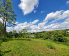 Views over King - Country homes for sale and luxury real estate including horse farms and property in the Caledon and King City areas near Toronto