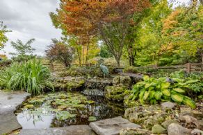 Koi Pond - Country homes for sale and luxury real estate including horse farms and property in the Caledon and King City areas near Toronto
