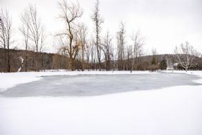Swimming/Skating Pond - Country homes for sale and luxury real estate including horse farms and property in the Caledon and King City areas near Toronto