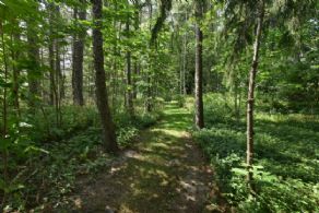 Walking Trails - Country homes for sale and luxury real estate including horse farms and property in the Caledon and King City areas near Toronto