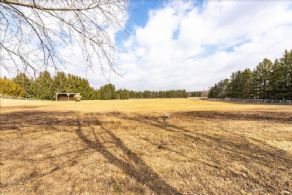 Tree-lined Fenced Paddocks - Country homes for sale and luxury real estate including horse farms and property in the Caledon and King City areas near Toronto