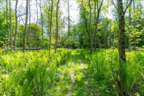Fern walk - Country homes for sale and luxury real estate including horse farms and property in the Caledon and King City areas near Toronto