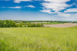 Views over the Region - Country homes for sale and luxury real estate including horse farms and property in the Caledon and King City areas near Toronto