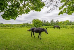 The Thomas Gallagher Farm, 4481 Concession Rd 2, Adjala, ON - Country homes for sale and luxury real estate including horse farms and property in the Caledon and King City areas near Toronto