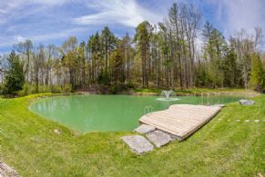 Pond with Dock - Country homes for sale and luxury real estate including horse farms and property in the Caledon and King City areas near Toronto