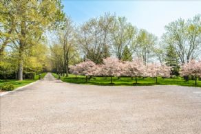 Flowering trees along front drive - Country homes for sale and luxury real estate including horse farms and property in the Caledon and King City areas near Toronto
