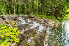 Waterfall - Country homes for sale and luxury real estate including horse farms and property in the Caledon and King City areas near Toronto