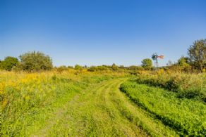 Walking Trails - Country homes for sale and luxury real estate including horse farms and property in the Caledon and King City areas near Toronto