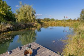 Spring Fed Swimming Pond - Country homes for sale and luxury real estate including horse farms and property in the Caledon and King City areas near Toronto