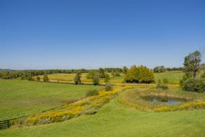Spring-fed Pond - Country homes for sale and luxury real estate including horse farms and property in the Caledon and King City areas near Toronto