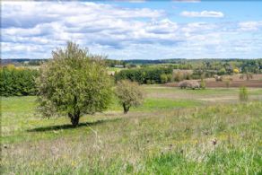 Tottenham Estate Property , Ontario - Country homes for sale and luxury real estate including horse farms and property in the Caledon and King City areas near Toronto