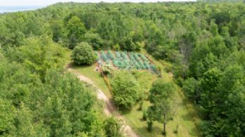 Orchards - Country homes for sale and luxury real estate including horse farms and property in the Caledon and King City areas near Toronto