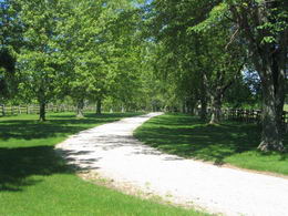 Driveway - Country homes for sale and luxury real estate including horse farms and property in the Caledon and King City areas near Toronto